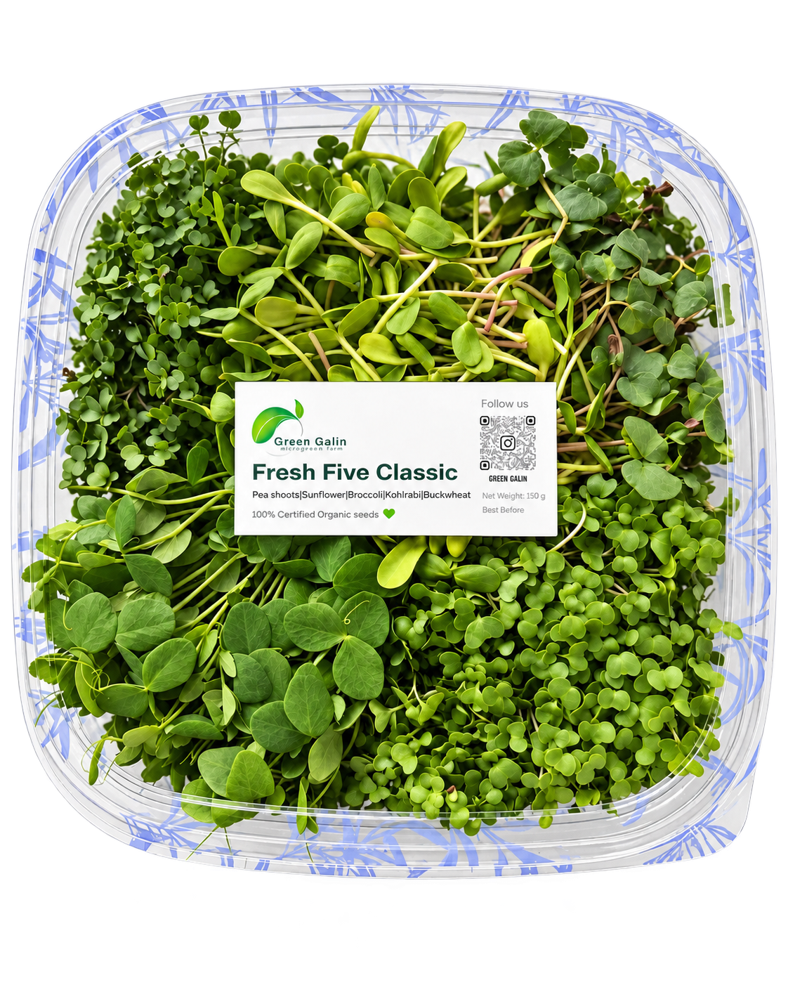Classic microgreens set