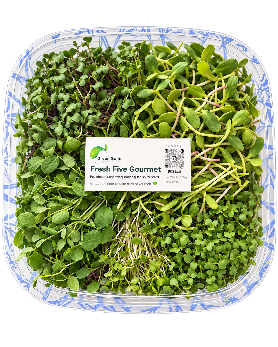 Gourmet microgreens set