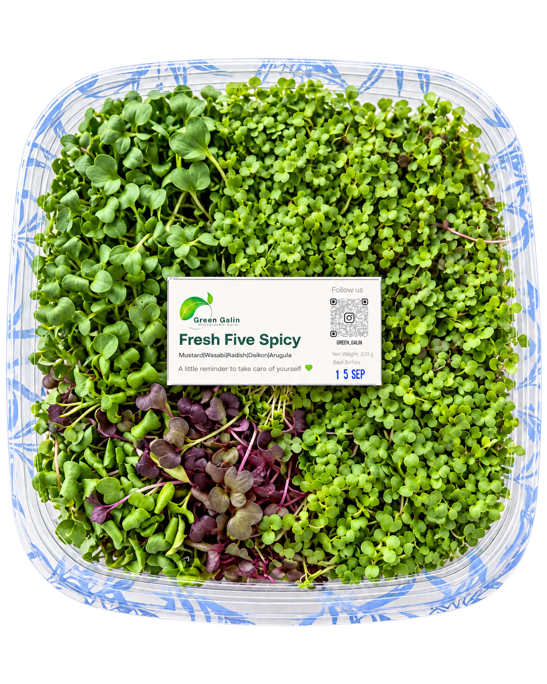 Spicy microgreens set
